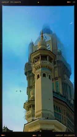 The Beauty Of 