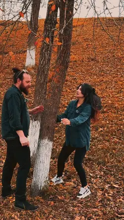 ateş böceği 