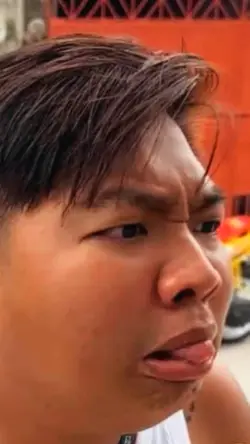 Kasamang lumipad