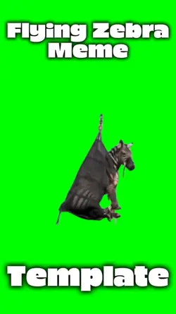 Flying Zebra