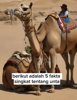 fakta unik unta 