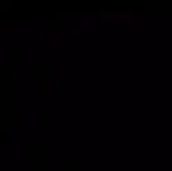 kara kedi edit 