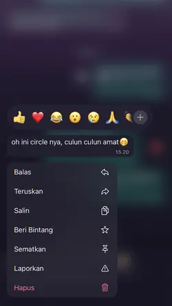 OH INI CIRCLE NYA