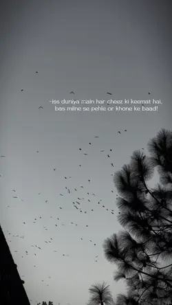 🥺🙃