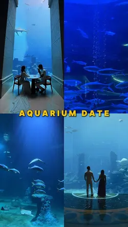Aquarium date