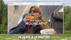 Mini diary 