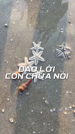 Mẫu 20/10