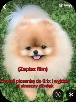 Zapisz film 