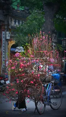 Một năm cũ đã qua