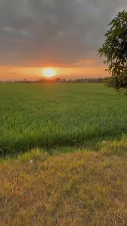 jajalen aku