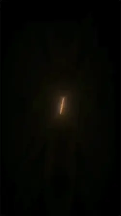 Zombie?! 