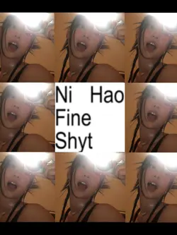 ni hao fine shyt