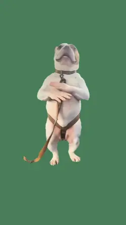 Imma Bite You