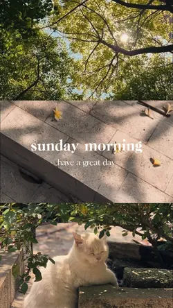 sunday morning