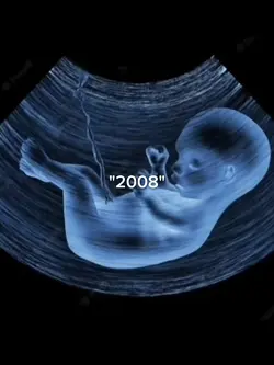 2008 vs 2025