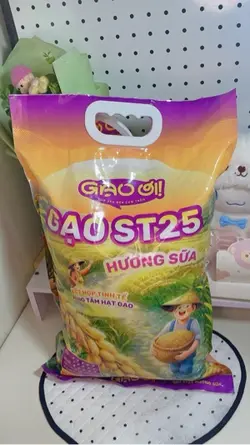 Gao st 25