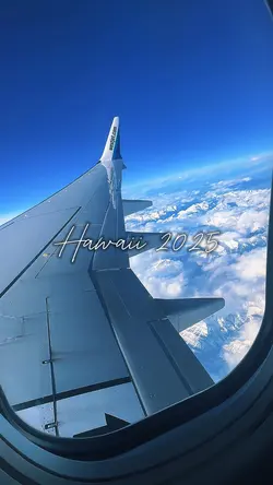 ALOHA 🌺
