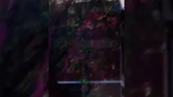 new most tranding