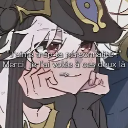 je l'ai volée