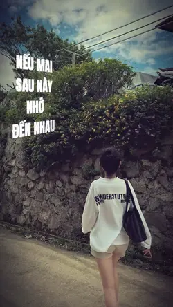 17. ĐÀM VĨNH HƯNG