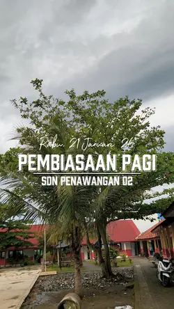 mini vlog