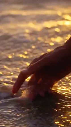 OCEAN DREAMS