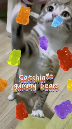 Catchin’ gummy bears