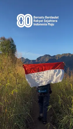 CINEMATIC HUT RI 80