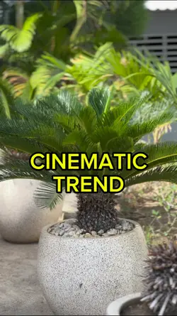 CINEMATIC HD 