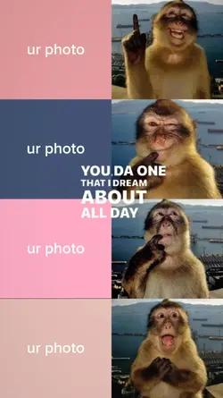 monkey trend
