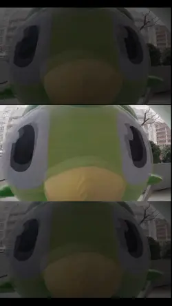 Duolingo Meme