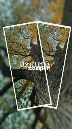 vlogcamper