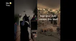 Any duets? :3