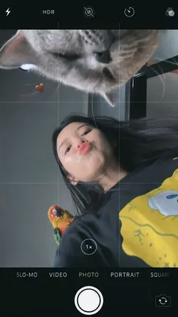 aesthetic 