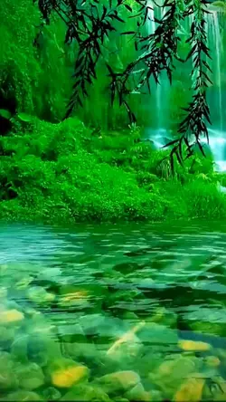 Natural beauty 
