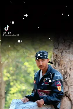 voice video 
