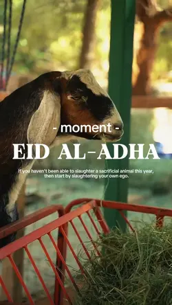Eid al adha 