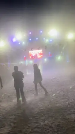 si no le gusta baila