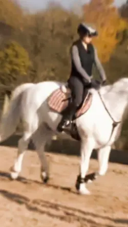 Equestrian Life <3