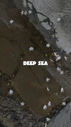 deep sea