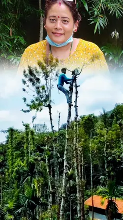 Timro Jati Maya 