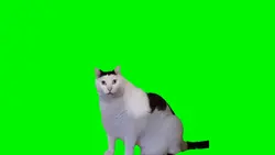 Huuhh? 16:9