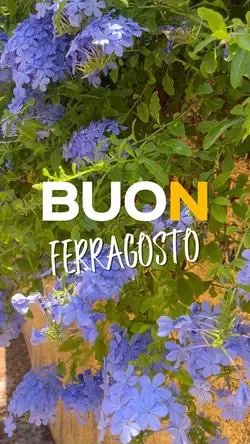 Ferragosto