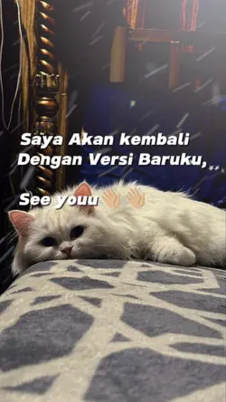Where are you? 