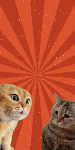 gato conversando l