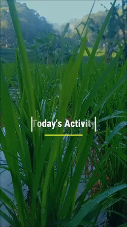 Today's Activity