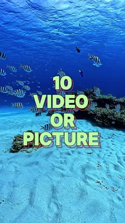 10 video or picture 