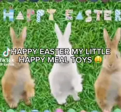 HAPPY EASTERRR 