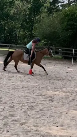 tulip and i todayyyy
