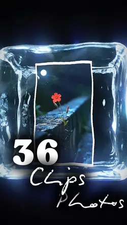 36 clip or photo 